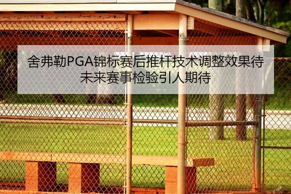 舍弗勒PGA锦标赛后推杆技术调整效果待未来赛事检验引人期待
